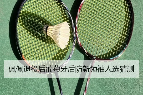 佩佩退役后葡萄牙后防新领袖人选猜测